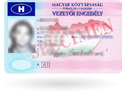 Driver’s Licence 